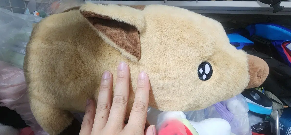 멧돼지 초롱 대형 인형