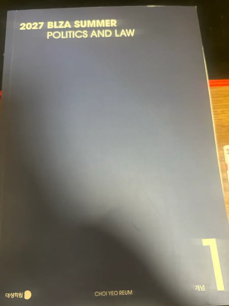 최여름 정법 인강교재책