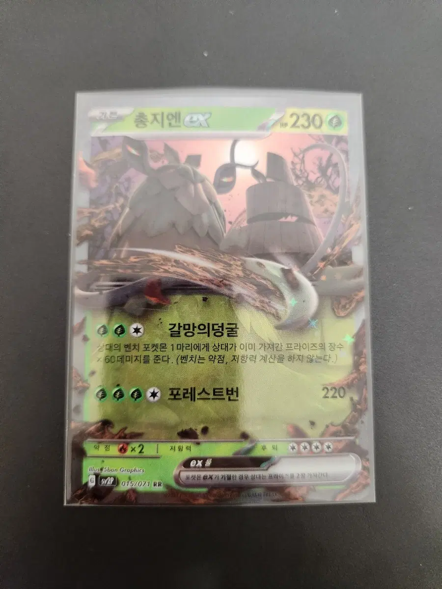포켓몬카드 총지엔 EX RR