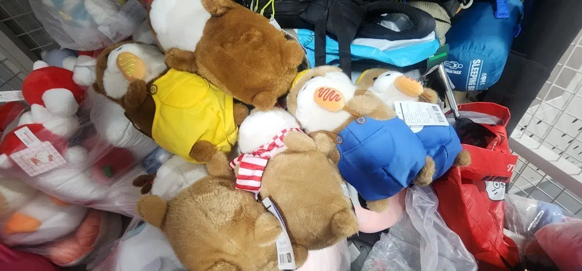 정품 우소우소 중형 인형 모음