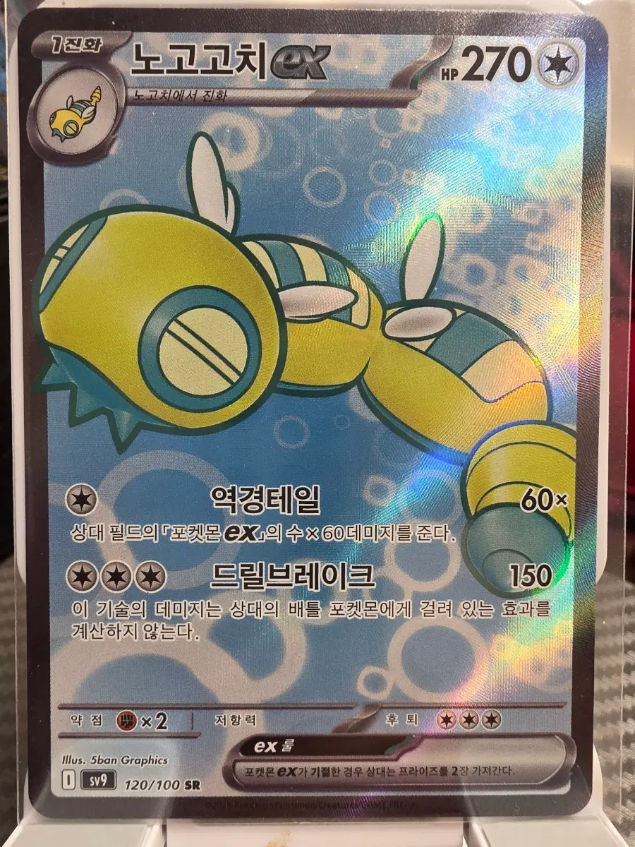 노고고치 EX 카드 120/100 SR 포켓몬카드