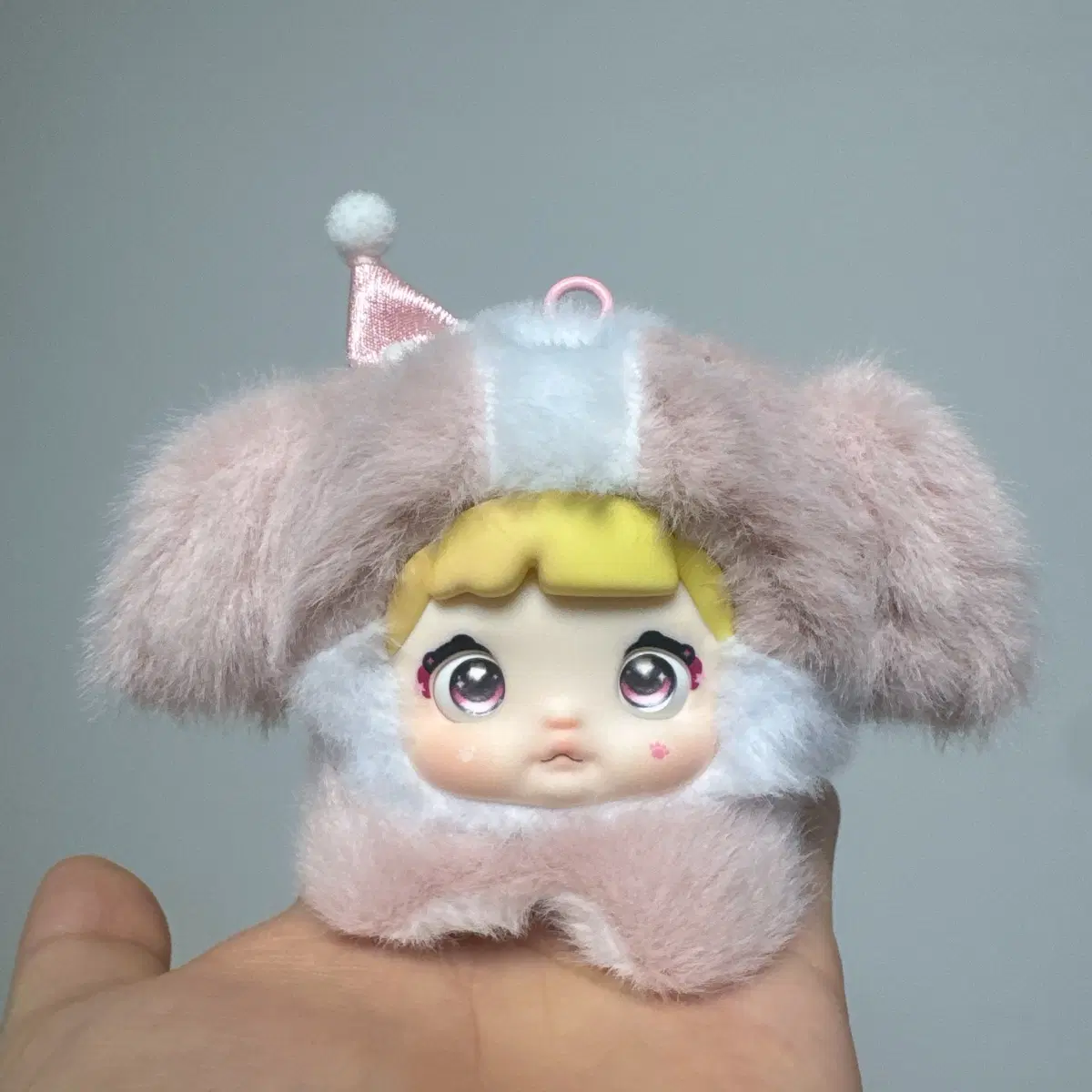 노미 강아지 핑크