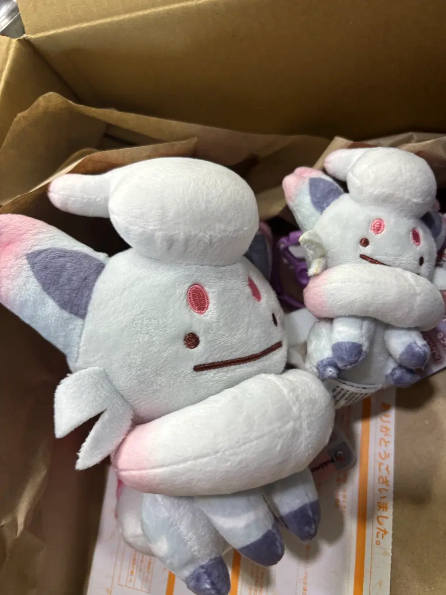 포켓몬 변신메타몽 히스이 조로아 세트