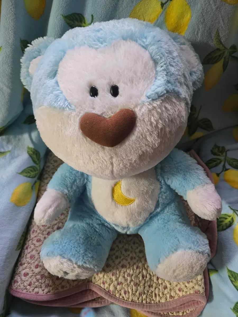 모닝글로리 블루베어인형