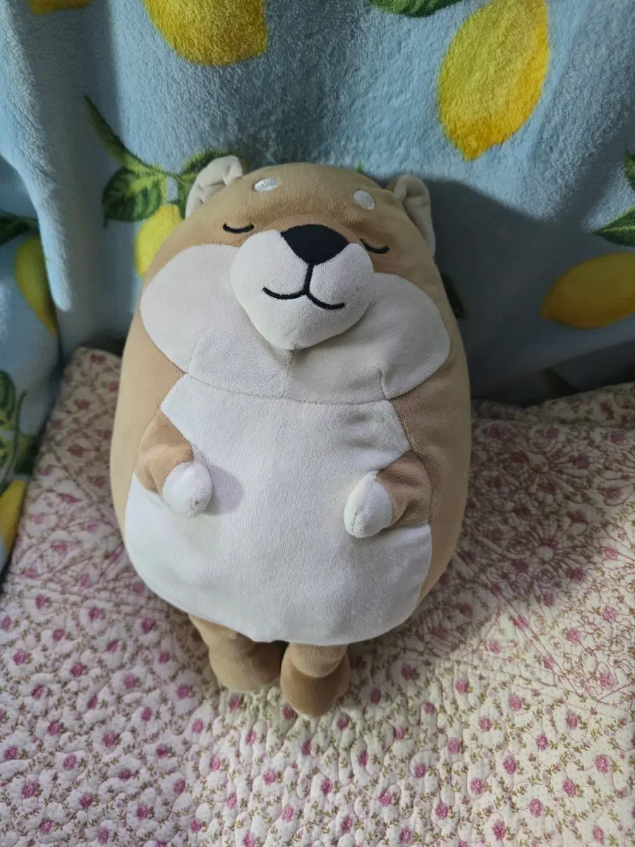 시바견인형