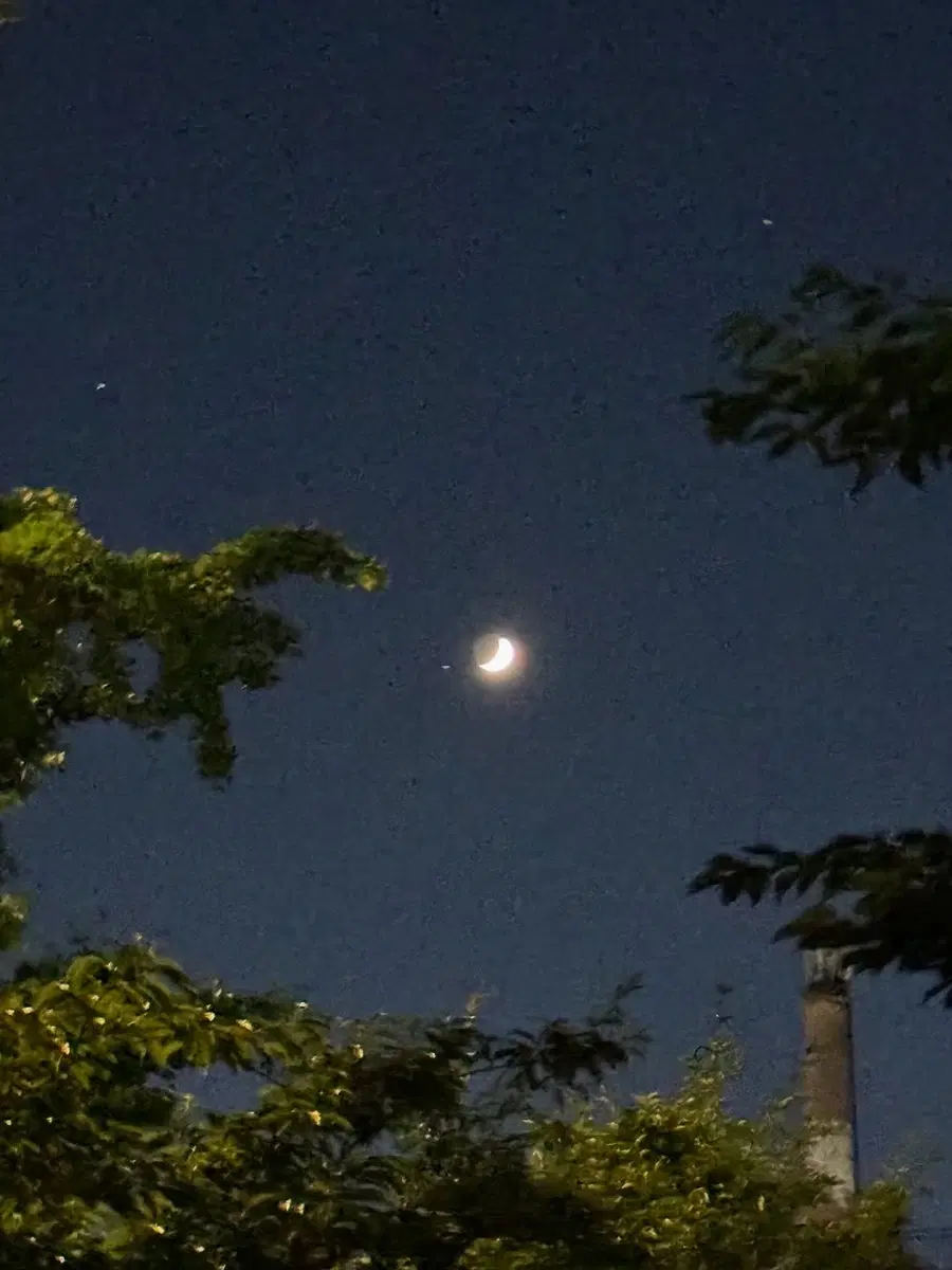 9/12,13일 비보 대여구합니다 *-_-*