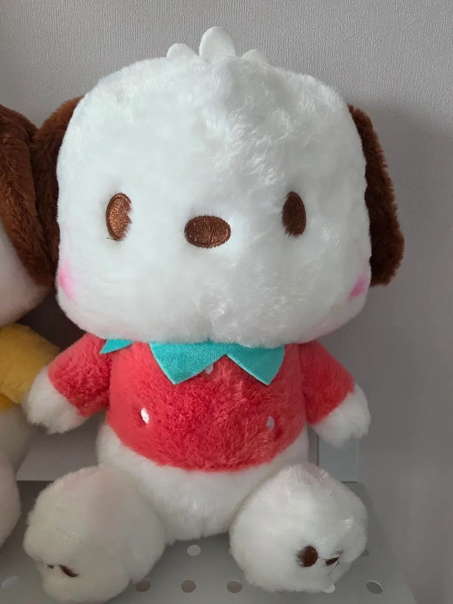 산리오 포차코 인형 빨간 딸기 의상
