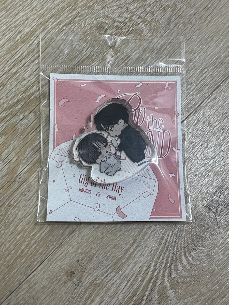 일간알바 코롯토