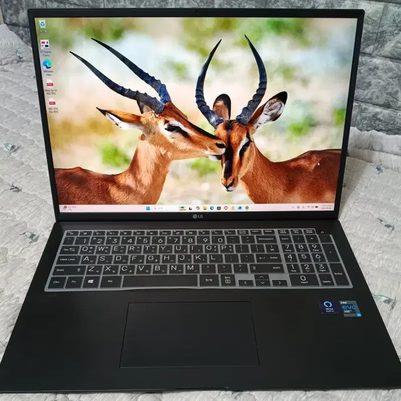 LG 그램17Z90P-K.AAC8U1