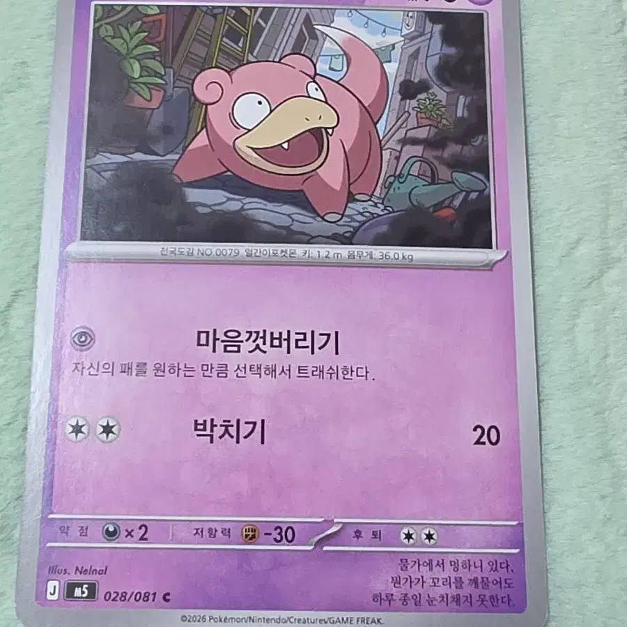 포켓몬 카드 야돈 m5 028/081 C