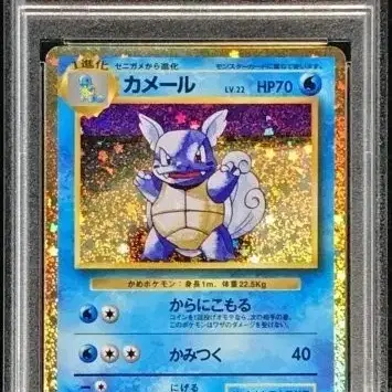 포켓몬 어니부기 초판 psa10
