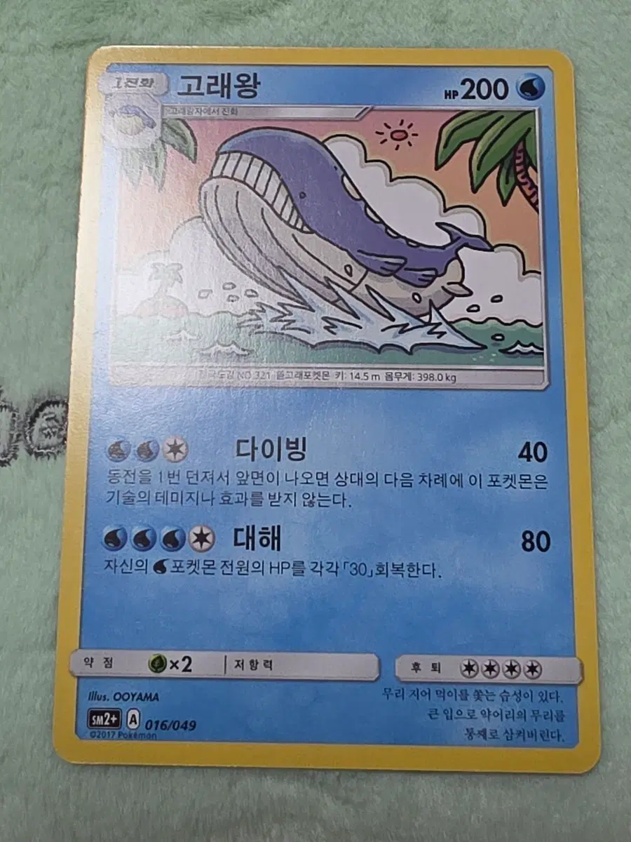 포켓몬 카드 고래왕 SM2+ A 016/049