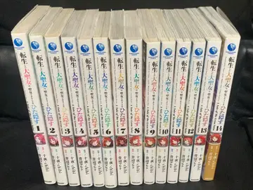 환생한 대성녀는 성녀임을 숨긴다 1~14권 기발행 전권 세트