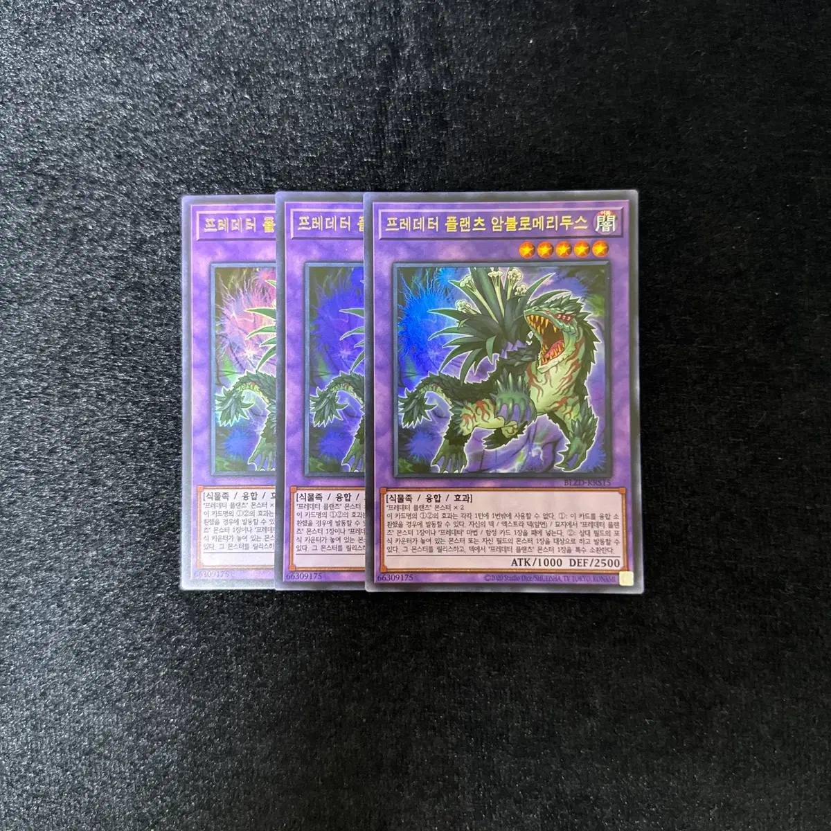 한글판 유희왕 프레데터플랜츠암블로메리두스 (BLZD-KRS15) Ultra Rare