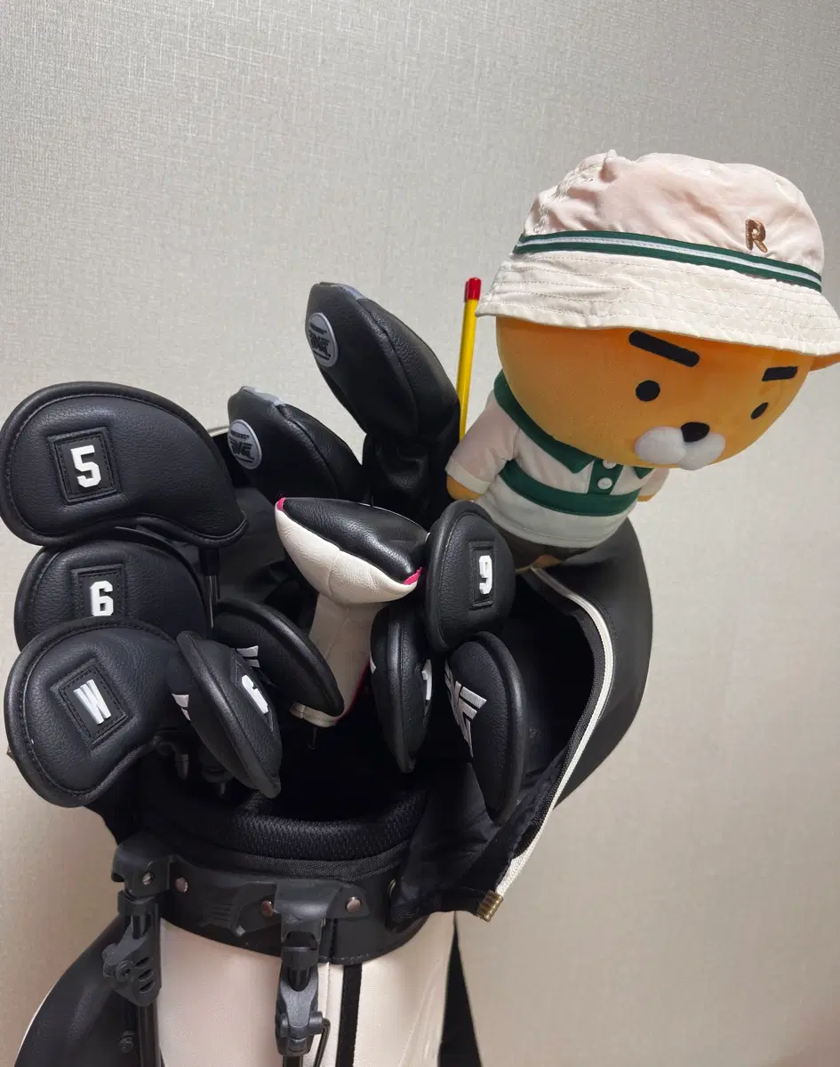 PXG 위주 골프채 풀세트