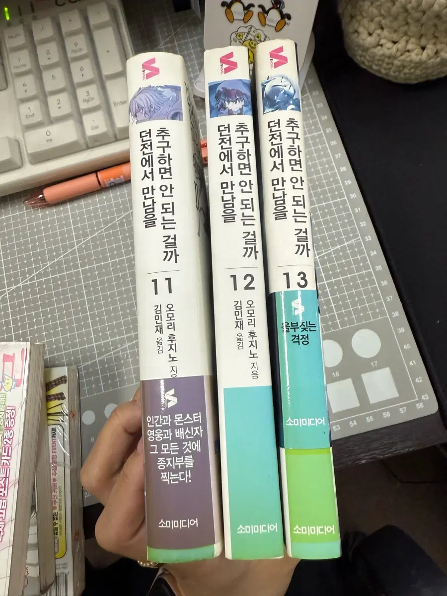 던전에서 만남을 추구하면 안 되는 걸까 11, 12, 13권