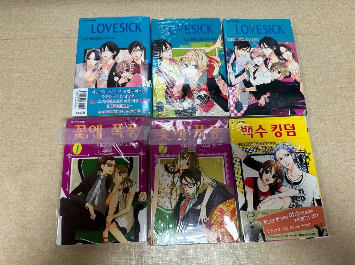 꽃에폭풍 러브시크 백수킹덤
