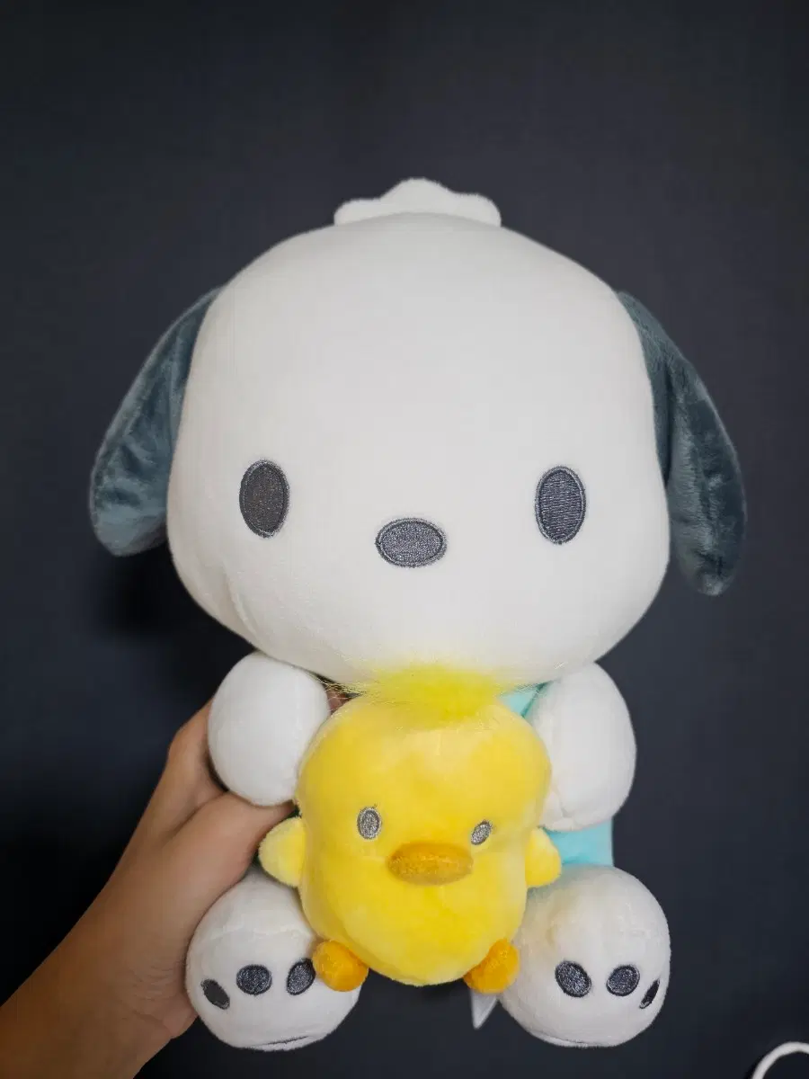 포차코 병아리 중형 인형