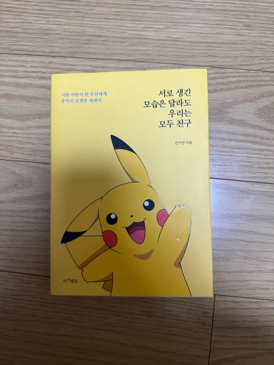 서로 생긴 모습은 달라도 우리는 모두 친구 (안가연)