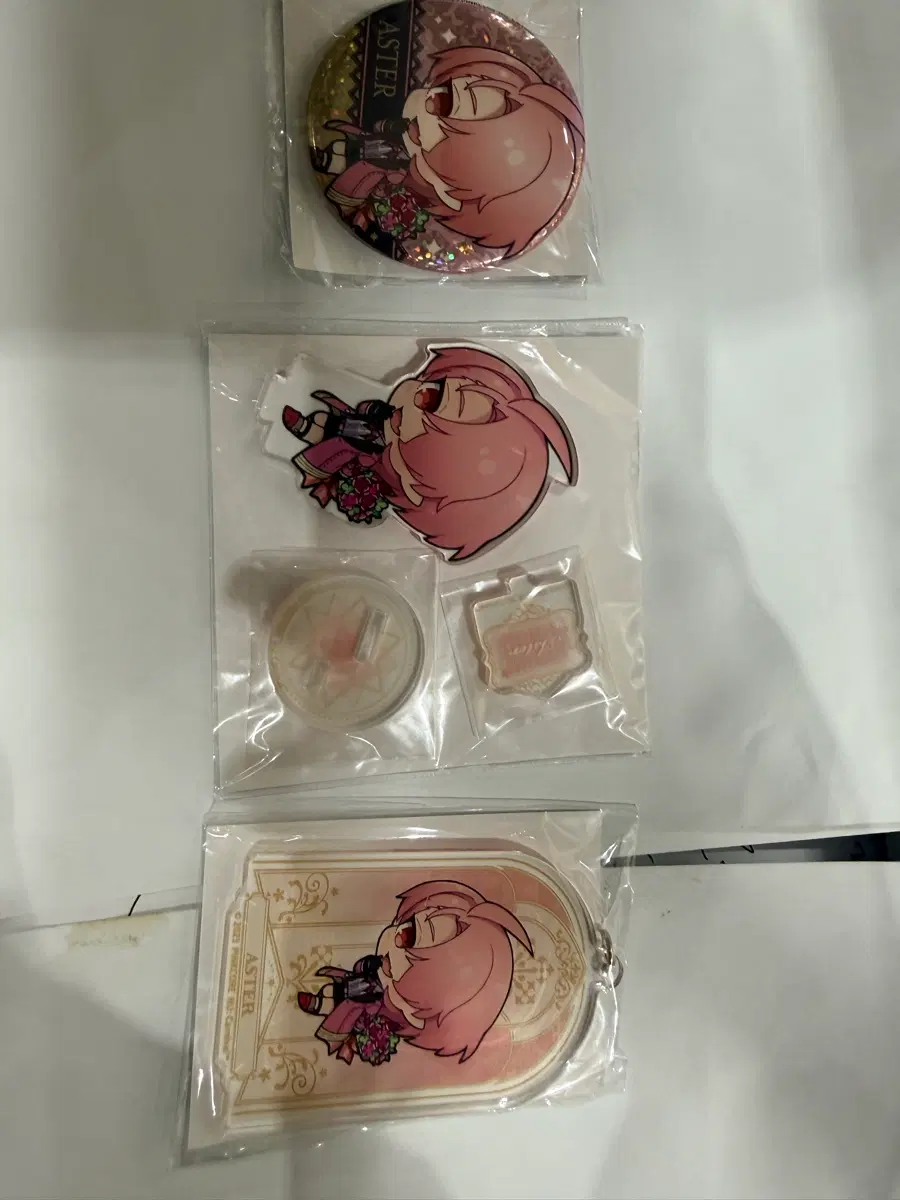 아스터 회지 굿즈 아크릴 스탠드 키링 뱃지