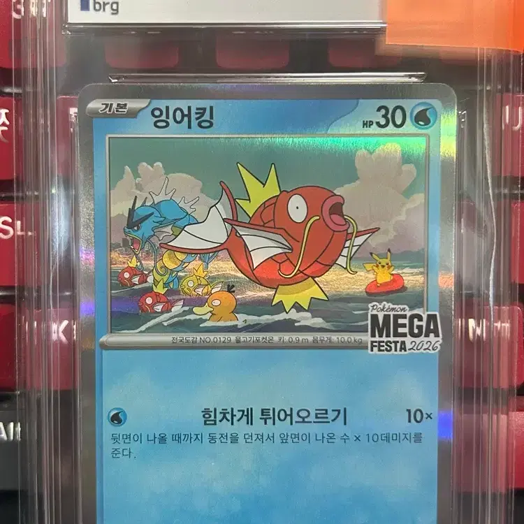 포켓몬 메가페스타 잉어킹 프로모 BRG9