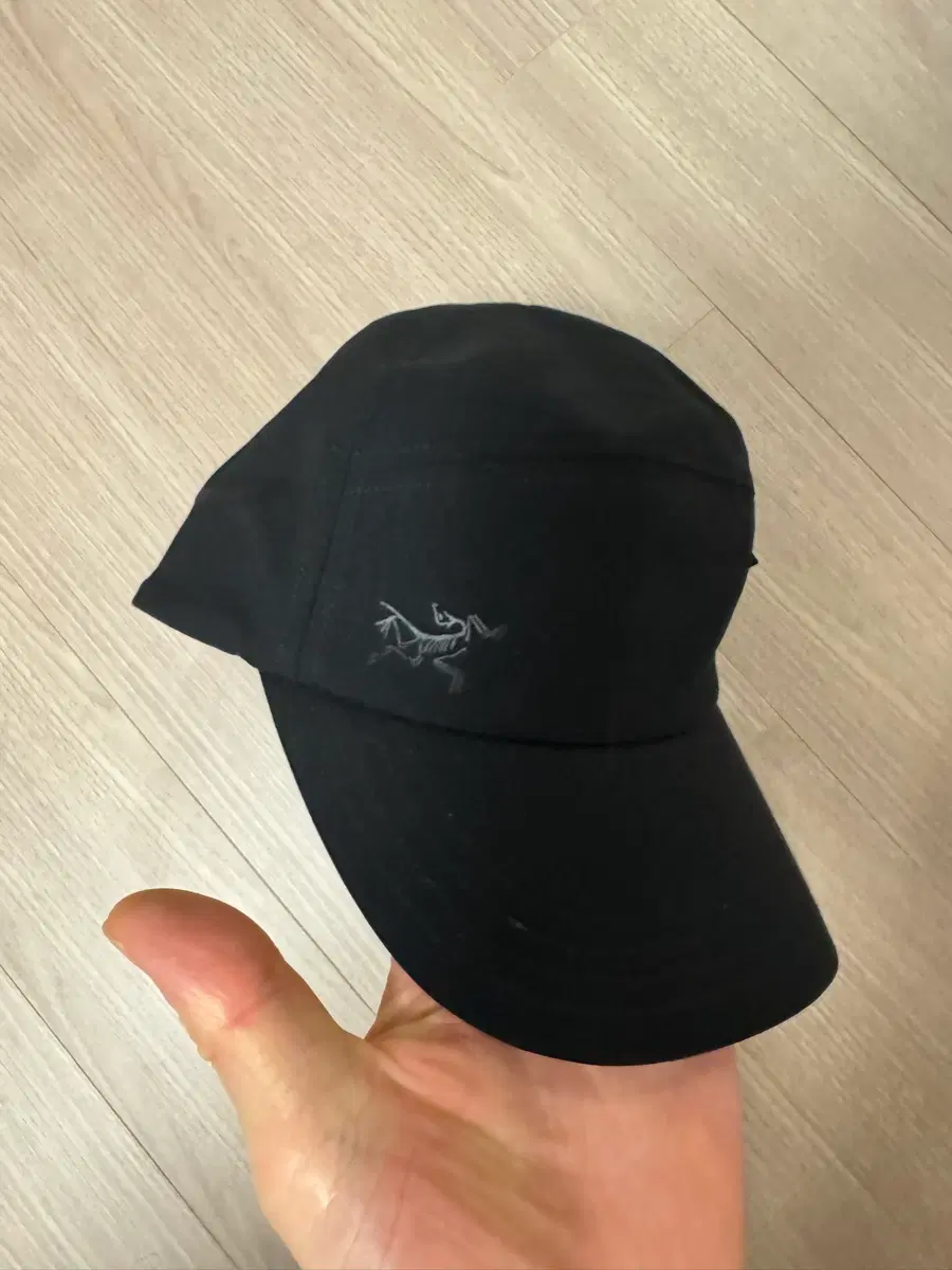 아크테릭스 엘라호