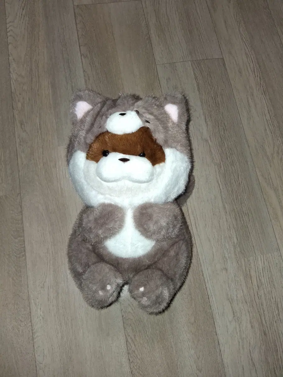 동물코스듐 우소우소 짱 고양이 봉제인형(무료배송)