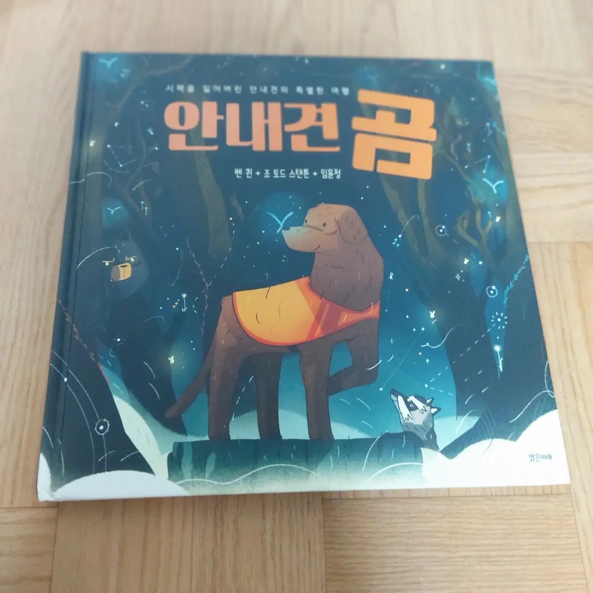 안내견 곰 동화책