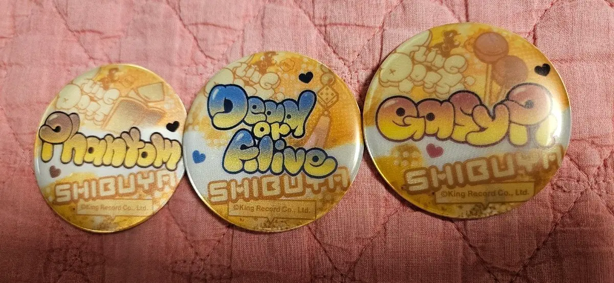 히프마이 플링폿세 시부야 디비전 이름 그래피티 캔뱃지 세트 펜티큘러