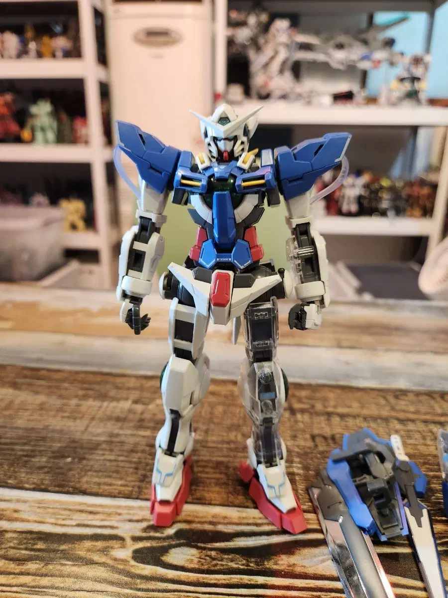 MG 엑시아 건담