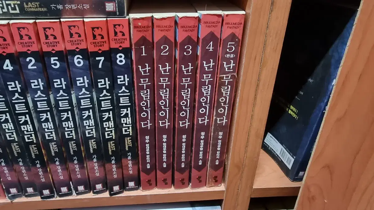난무림인이다 1-5 완 정우 현대 무협 판타지 소설