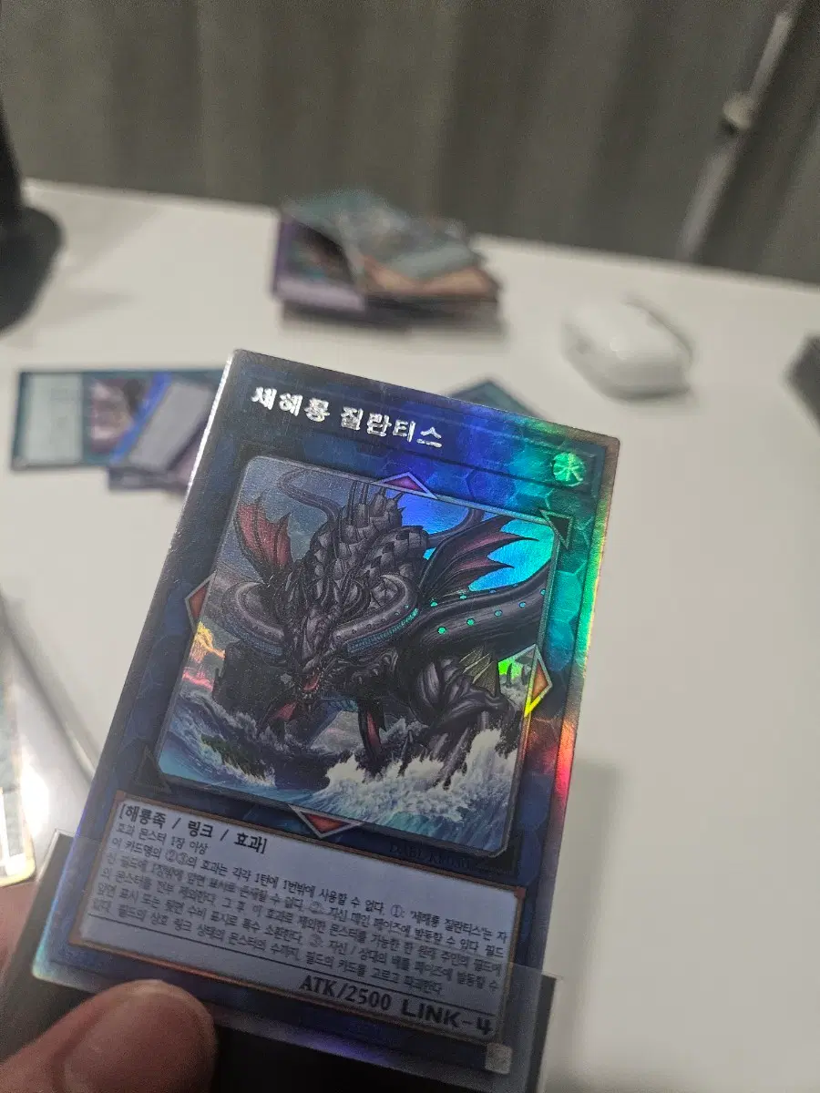 새해룡 질란티스 홀로