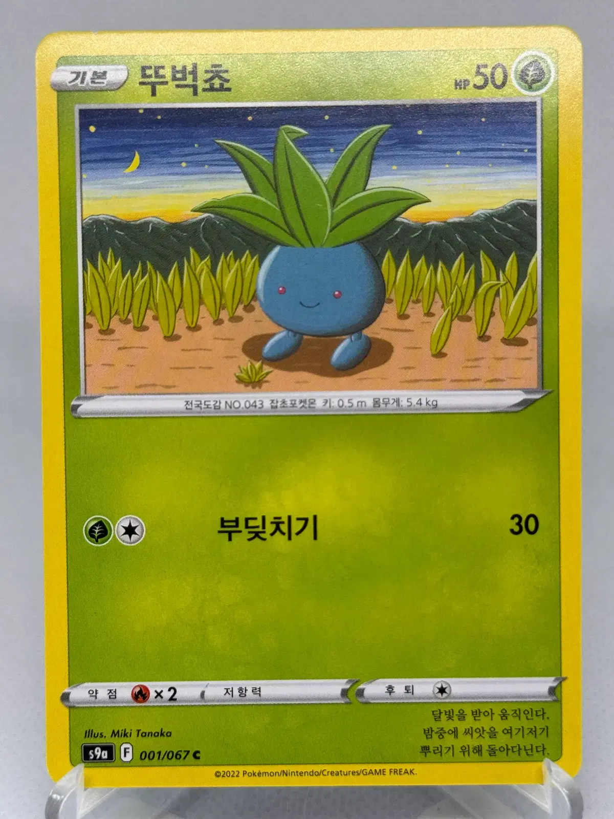 포켓몬카드 뚜벅쵸 [S9a 001/067] 한글판 일반카드