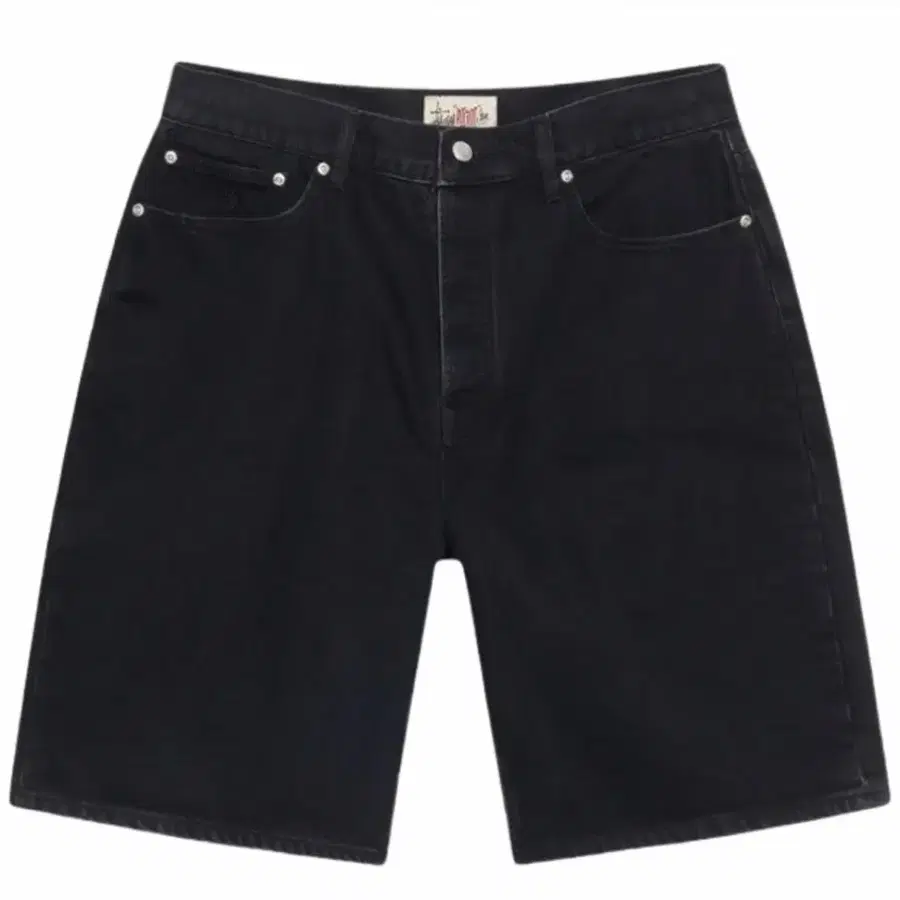 Stussy 스투시 빅 올 쇼츠 블랙 36
