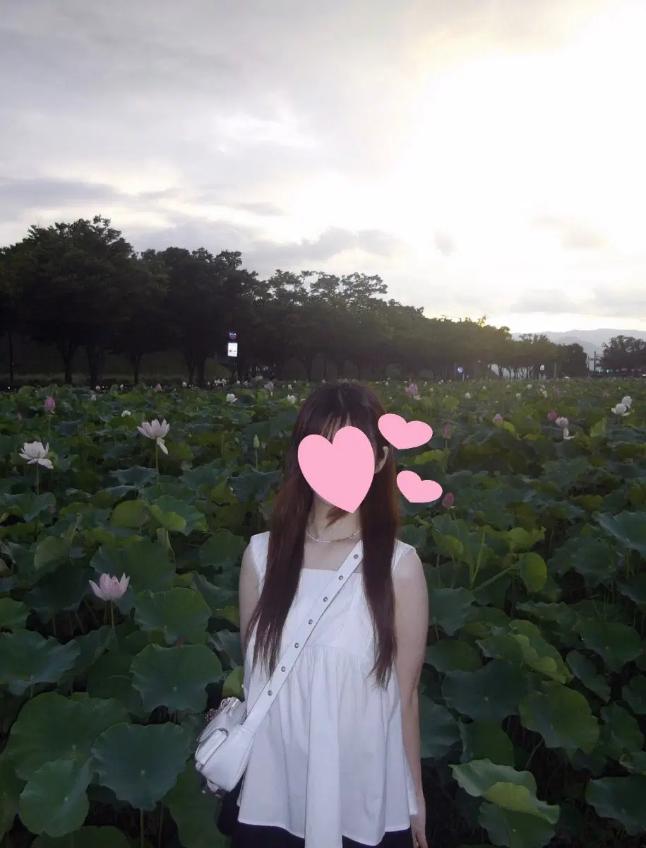 펜탁스 옵티오 330 빈티지 디카