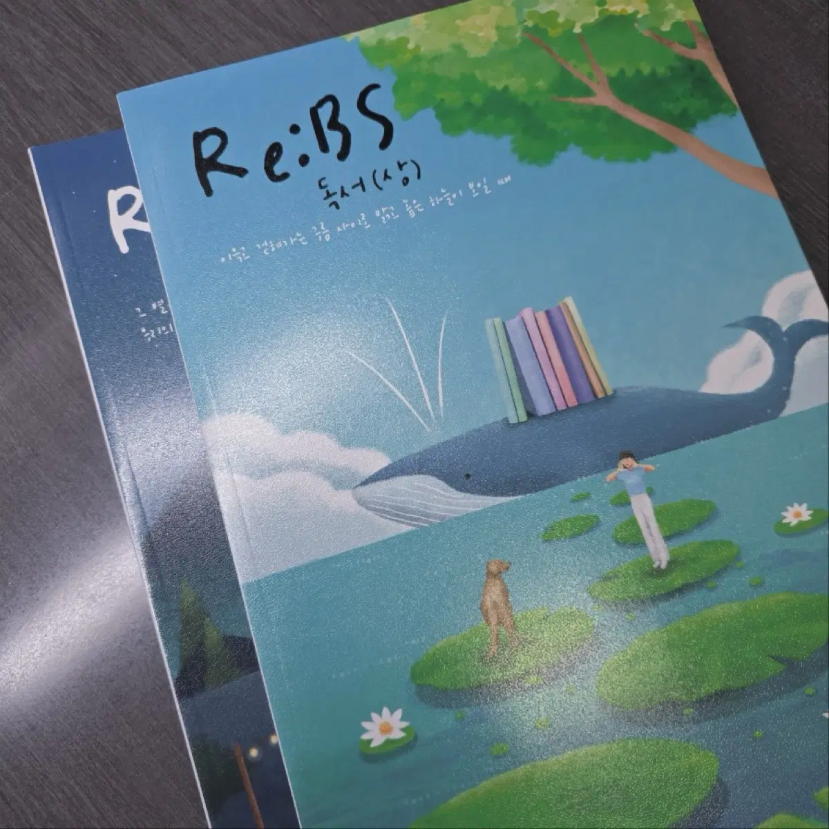 2027 강은양 rebs 수능특강 독서 상하 2권