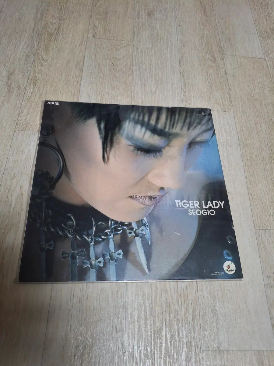 서지오 엘피 LP