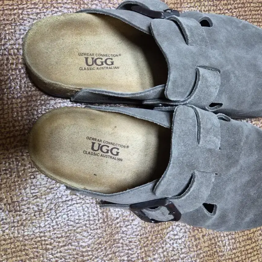 uggオーストラリアンミュールスリッパ240