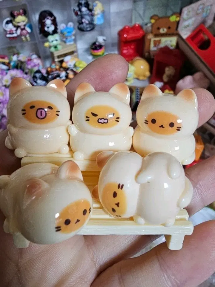 고양이 피규어 5종 세트