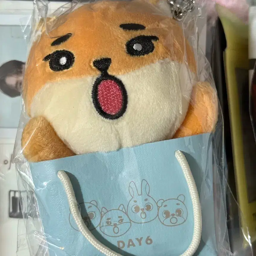 데이식스 데니멀즈 케 영케이 백참 일본 엠디 양도