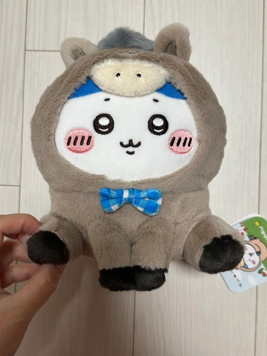 해피백 하치와레 말띠 누이