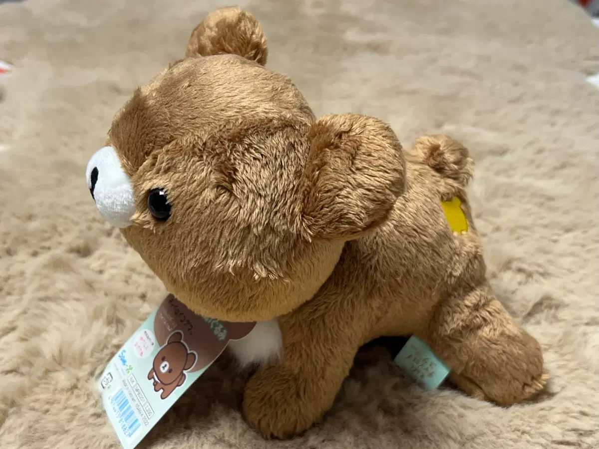 엉금엉금 포징 코구마 인형 누이