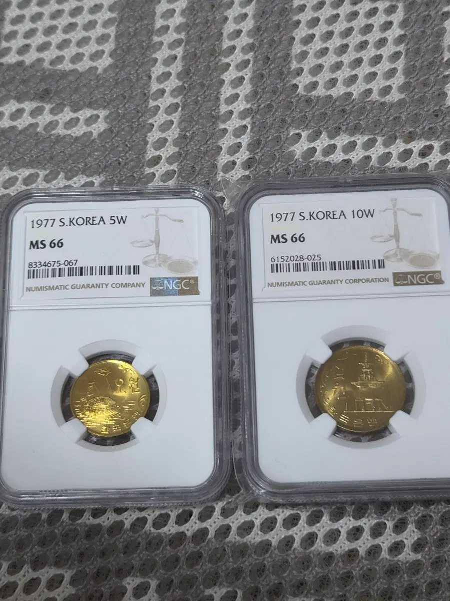 *1977년 5주 10주 66등급