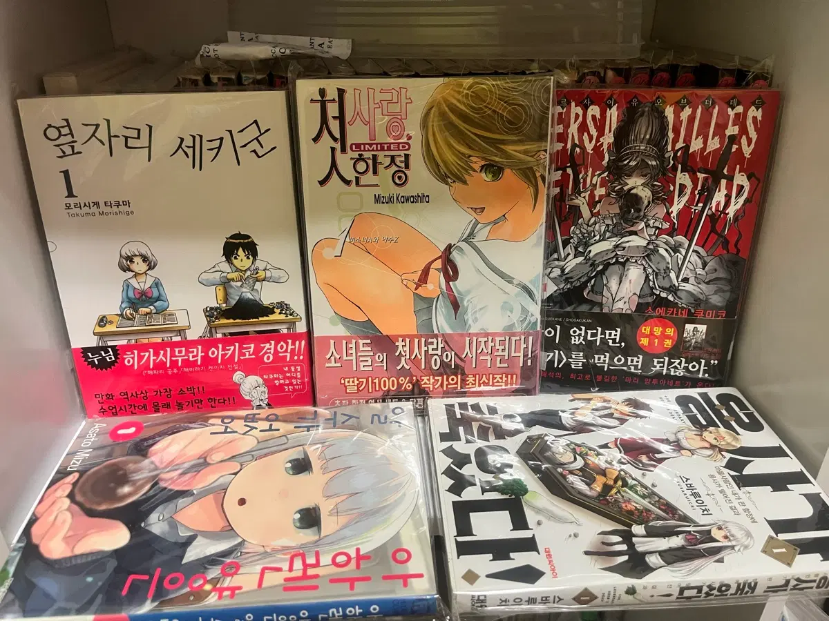 만화책 일괄