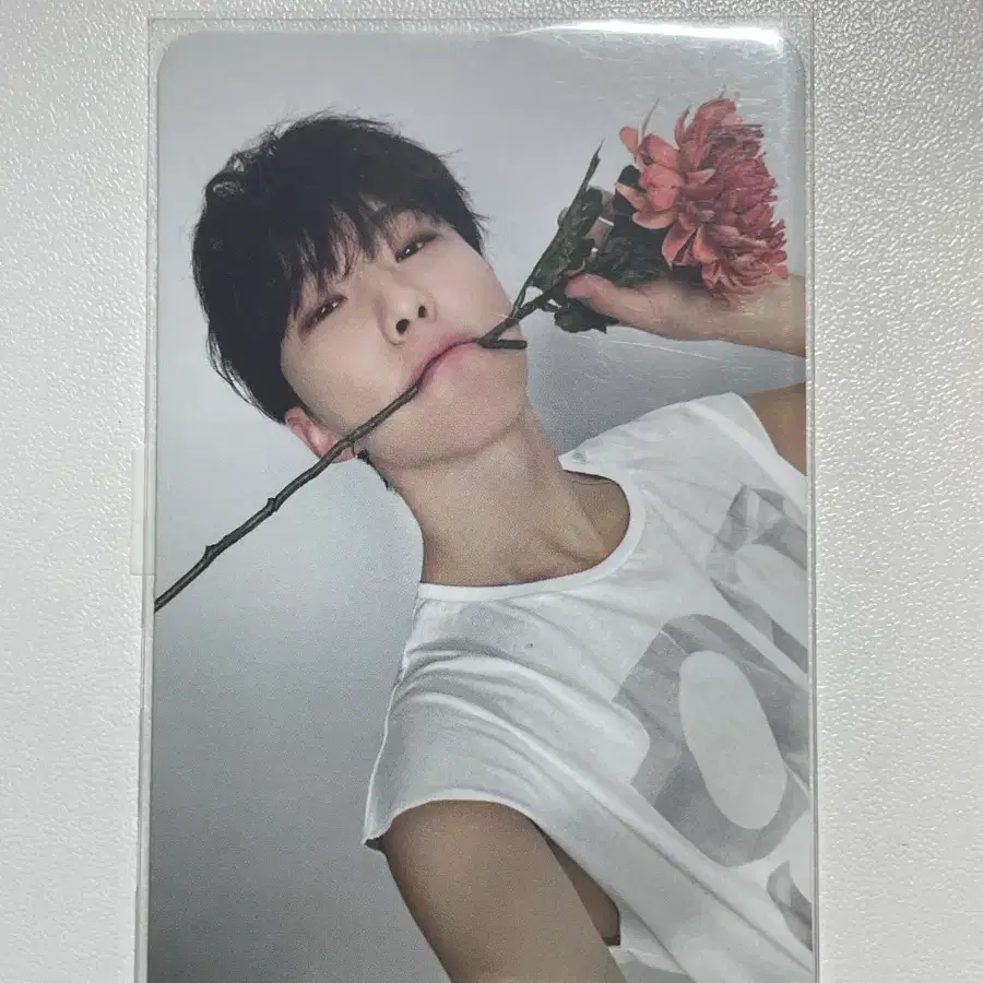 세븐틴 호시 라잇히어 포카