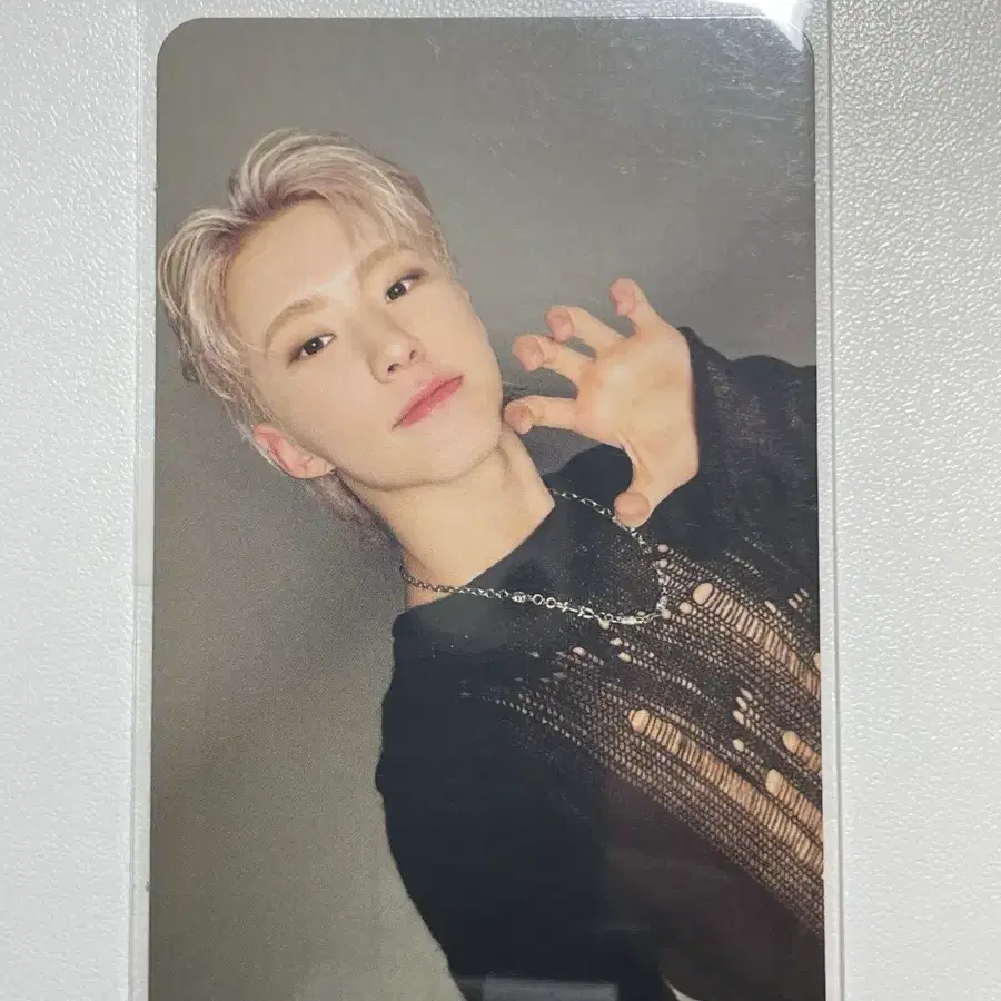 세븐틴 호시 스더필 포카
