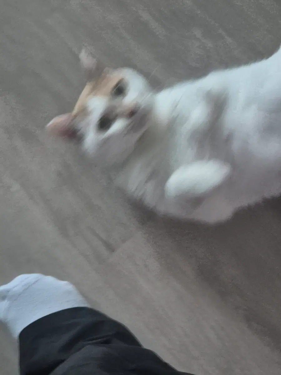 의료정보관리사 필통 26년