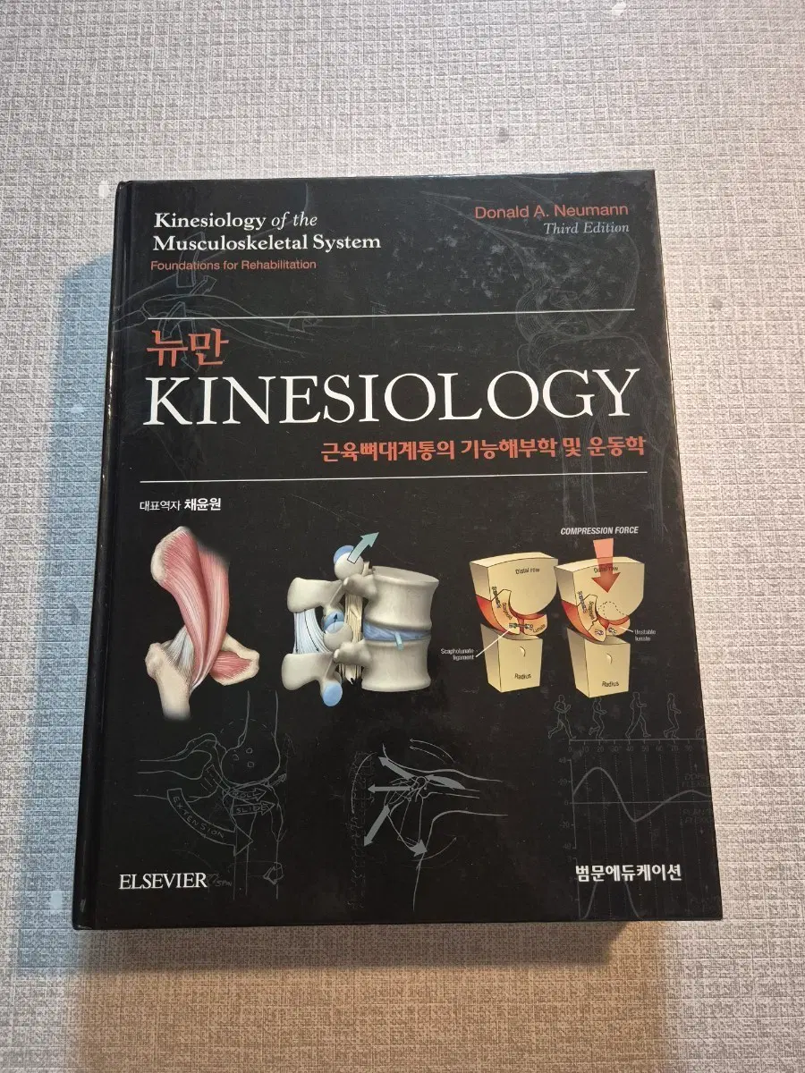 뉴만 Kinesiology 근육뼈대계통 기능해부학 3판