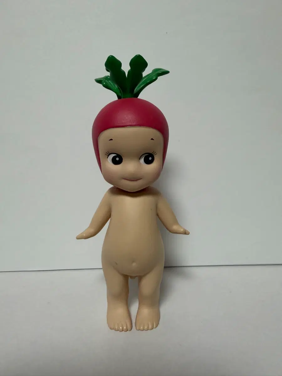 소니엔젤 래디쉬 (구형)