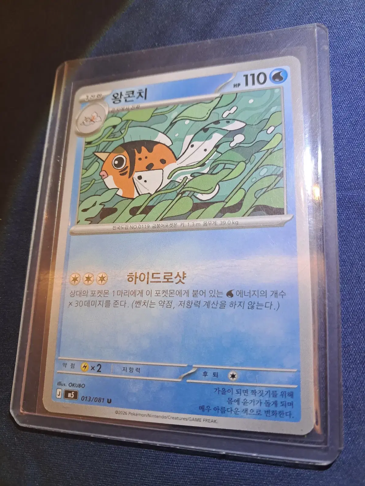 왕콘치 짜랑랑